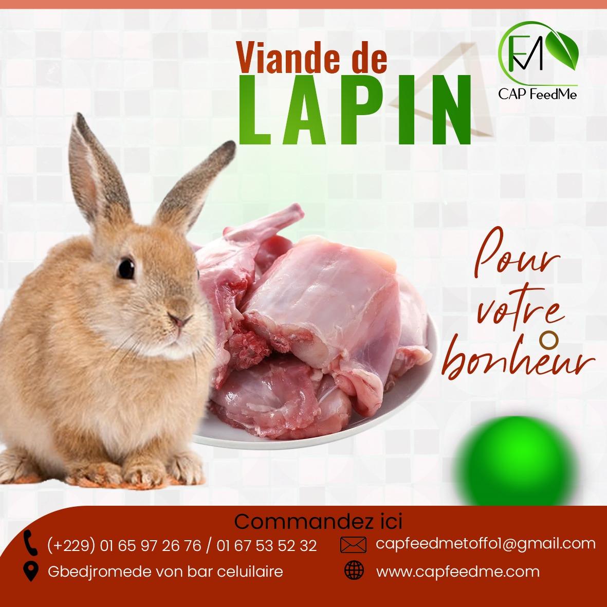 Viande de Lapin