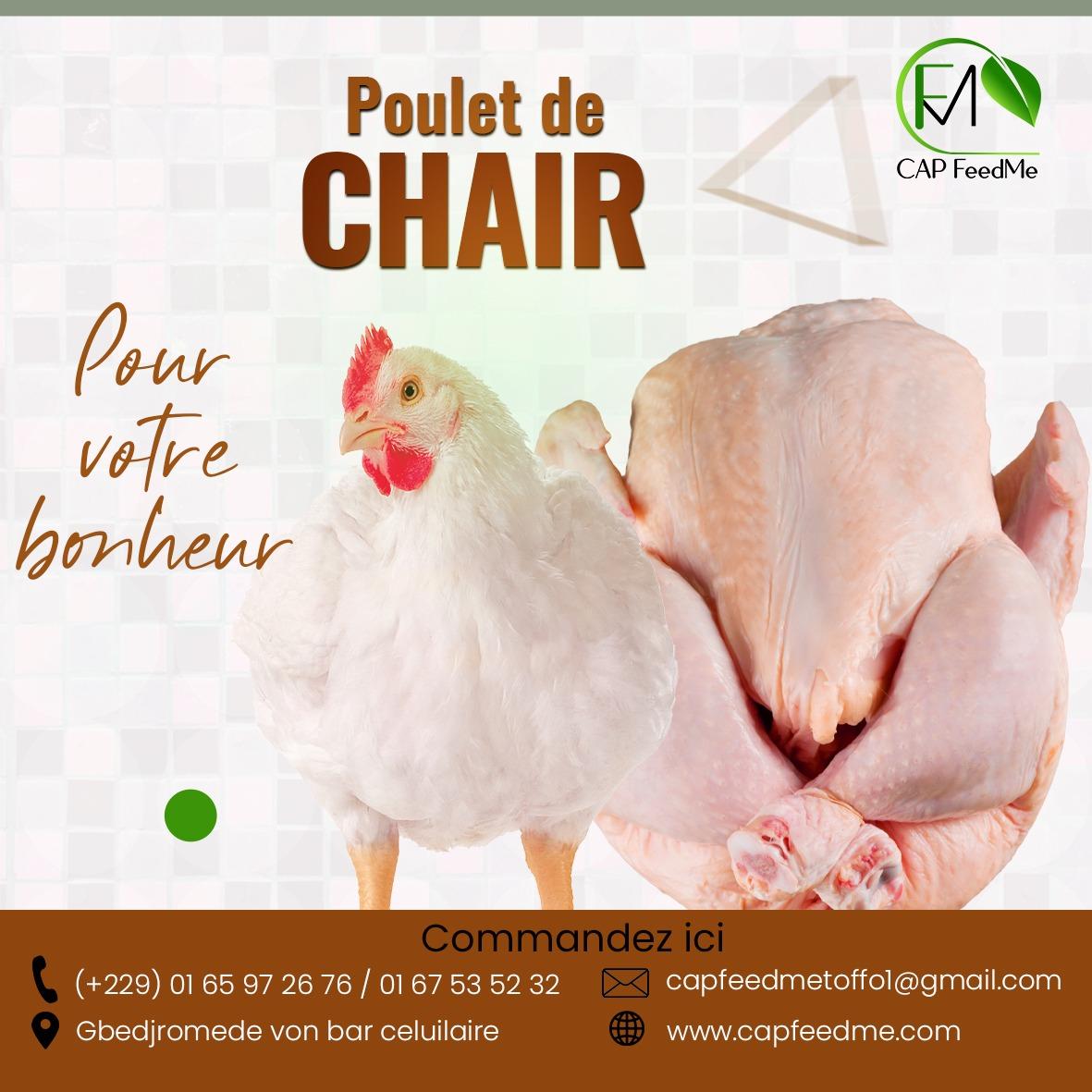 Poulet de Chair