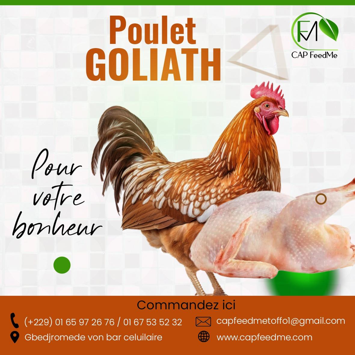 Poulait GOLIAH